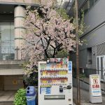 東京・大阪で秘密の紹介制😊一対一だから安心できる理由