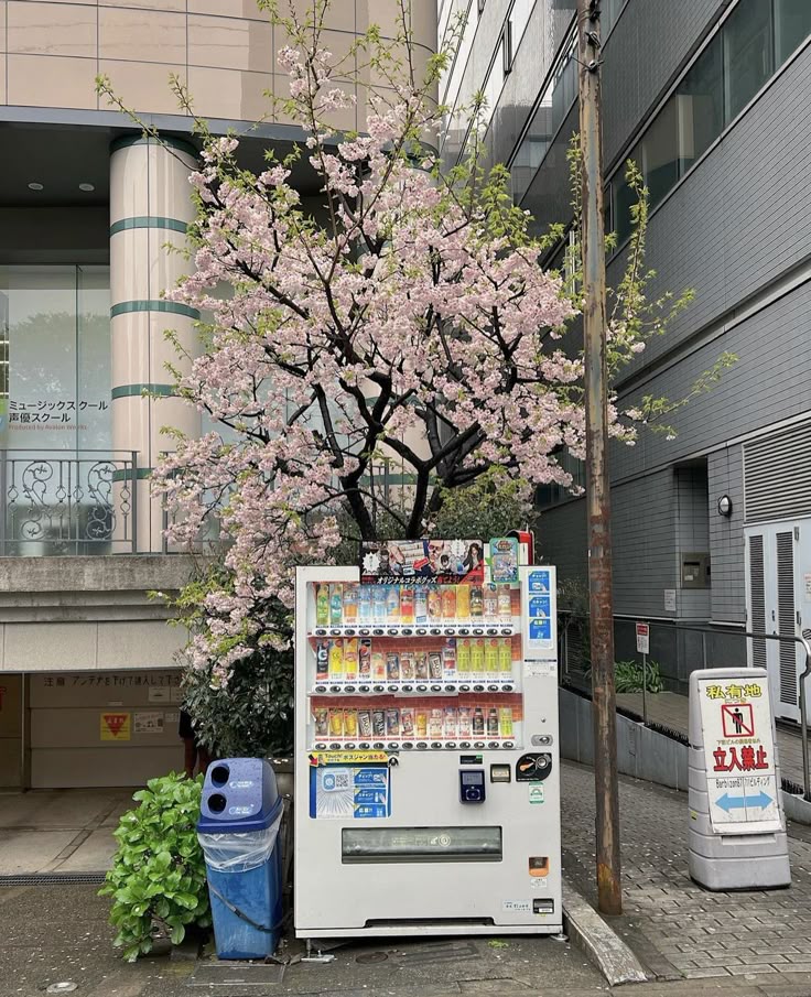 東京・大阪で秘密の紹介制😊一対一だから安心できる理由